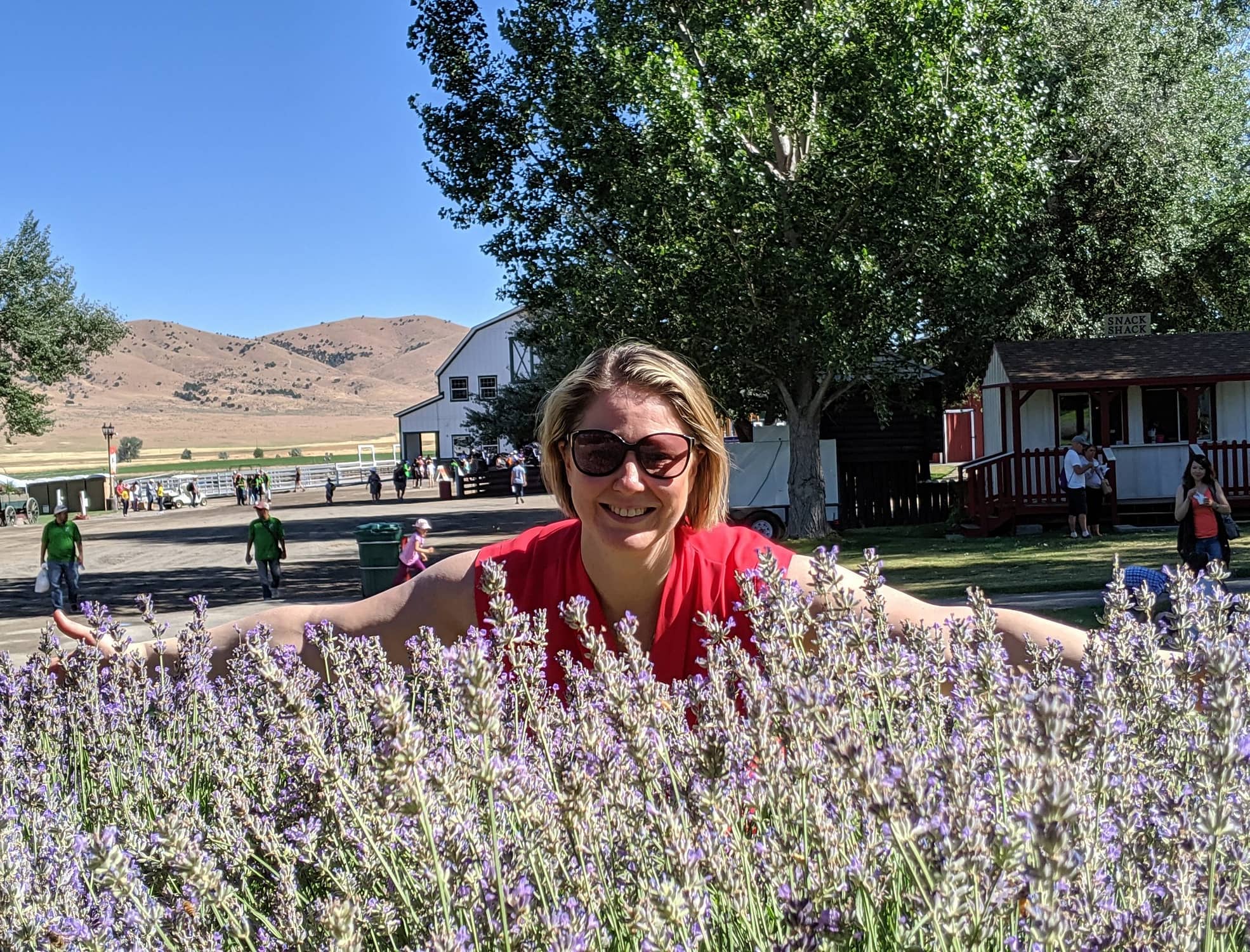 Sharron in the lavender